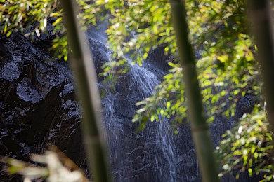 《原子之心》官方回应立场质疑：全球团队专注游戏