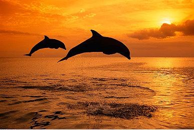 放置类游戏《巨石岛》Steam页面开放 2025年第四季度发售