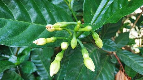 穆拉纳秘宝开发商发布全新游戏 但还要等上几年